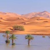 Best Morocco Tours 10 Top Desert Trips 2025 and 2026