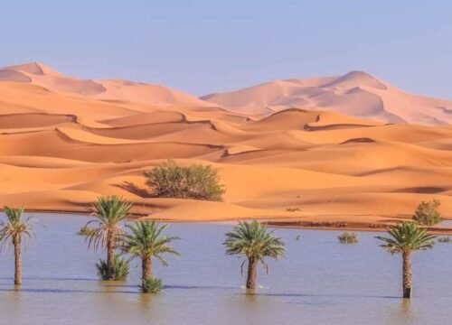 Explore 10 Best Morocco Tours and Desert Trips for 2025 and 2026