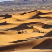 Morocco Student Tours Journey to a land of rich heritage