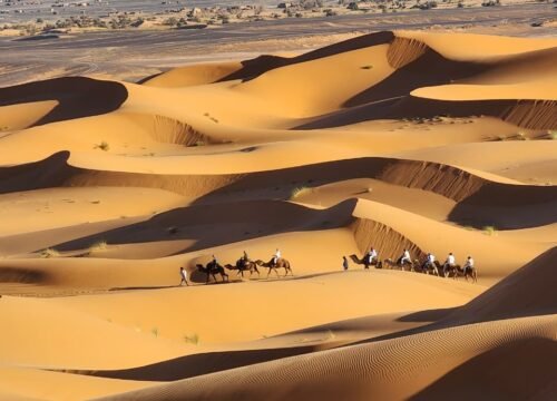 Explore the best Morocco Student Tours for 2025 and 2026