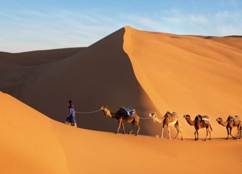 The Ultimate Travel Guide About What to See in Morocco 2025 and 2026