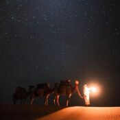 guided trips to morocco
