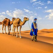 morocco in july weather
